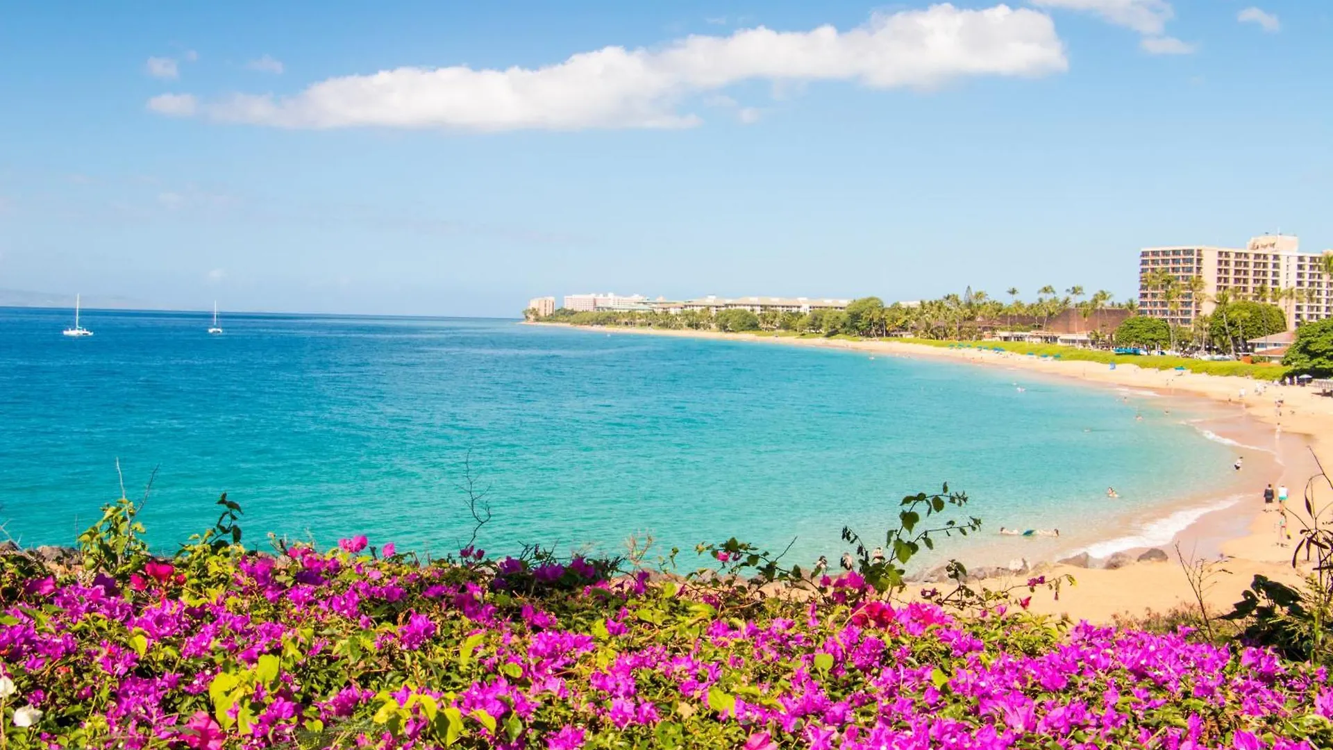 Oceanfront Views Above Dukes - Wrap Around Lanai - Outdoor Kitchen Honua Kai H351 Villa Lahaina 0*,