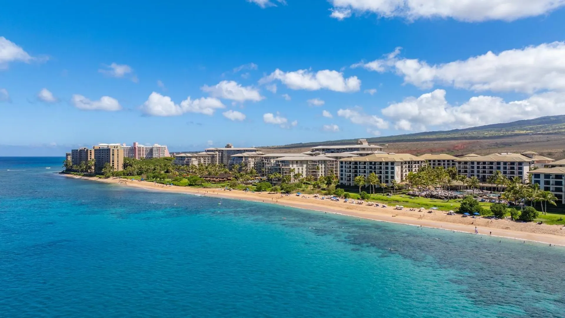 Oceanfront Views Above Dukes - Wrap Around Lanai - Outdoor Kitchen Honua Kai H351 Villa Lahaina Holiday home