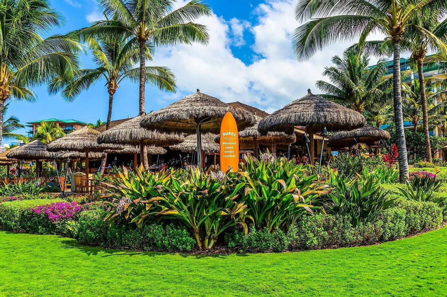 Oceanfront Views Above Dukes - Wrap Around Lanai - Outdoor Kitchen Honua Kai H351 Villa Lahaina 0*,  United States