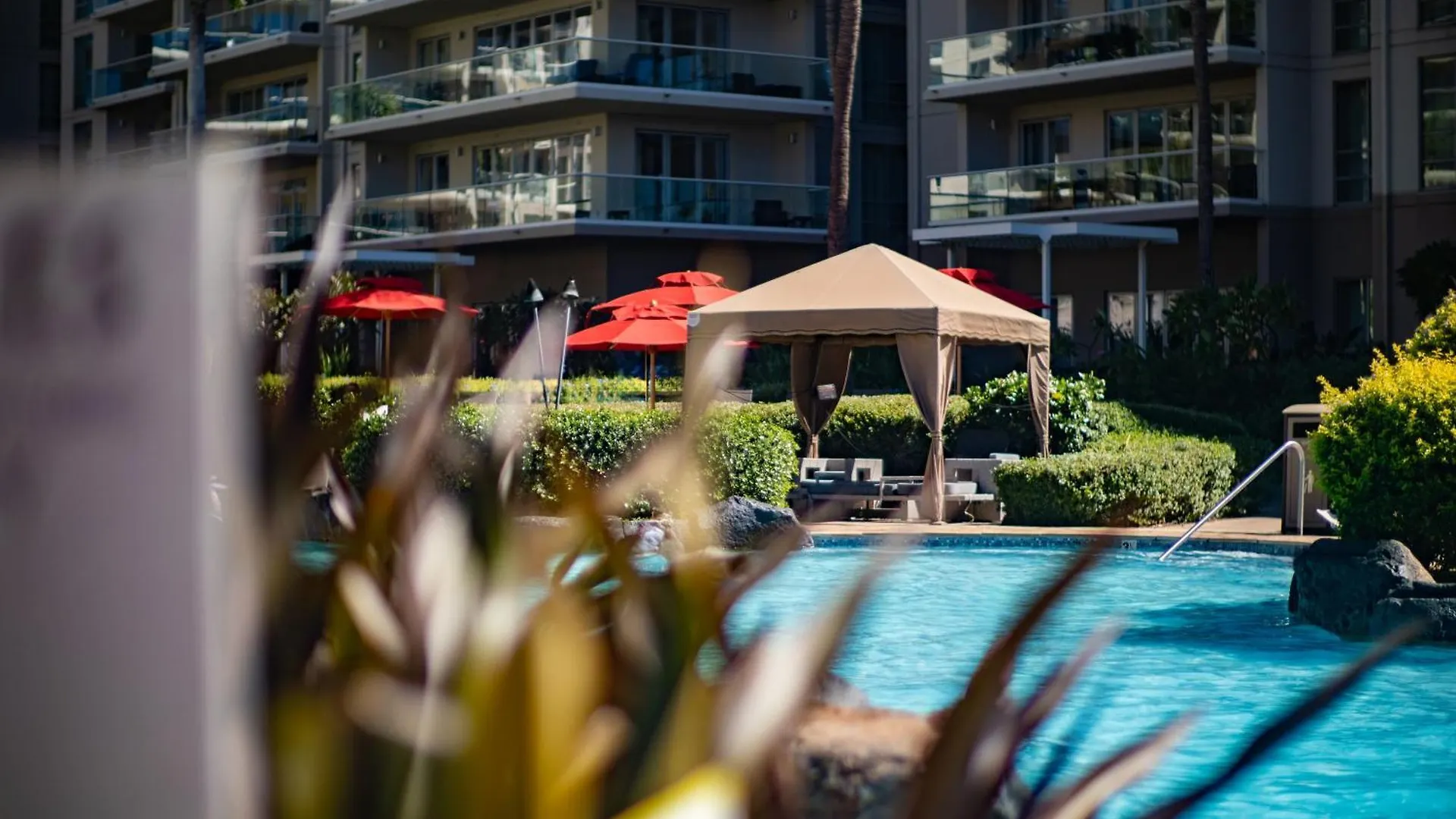 Oceanfront Views Above Dukes - Wrap Around Lanai - Outdoor Kitchen Honua Kai H351 Villa Lahaina 0*,