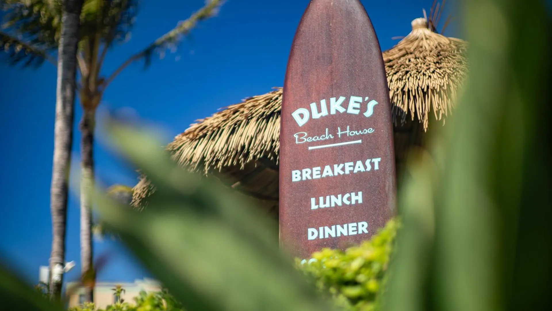 Oceanfront Views Above Dukes - Wrap Around Lanai - Outdoor Kitchen Honua Kai H351 Villa Lahaina Holiday home