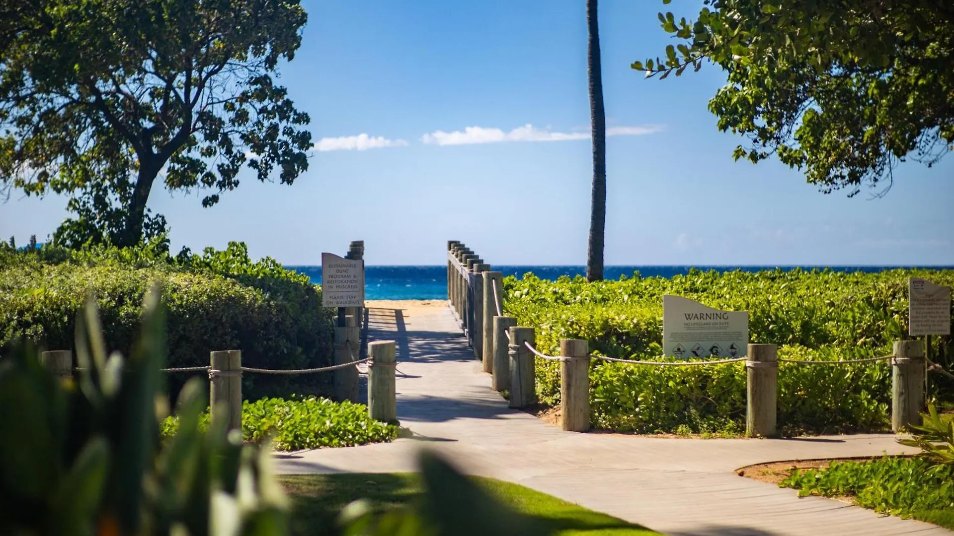 Oceanfront Views Above Dukes - Wrap Around Lanai - Outdoor Kitchen Honua Kai H351 Villa Lahaina