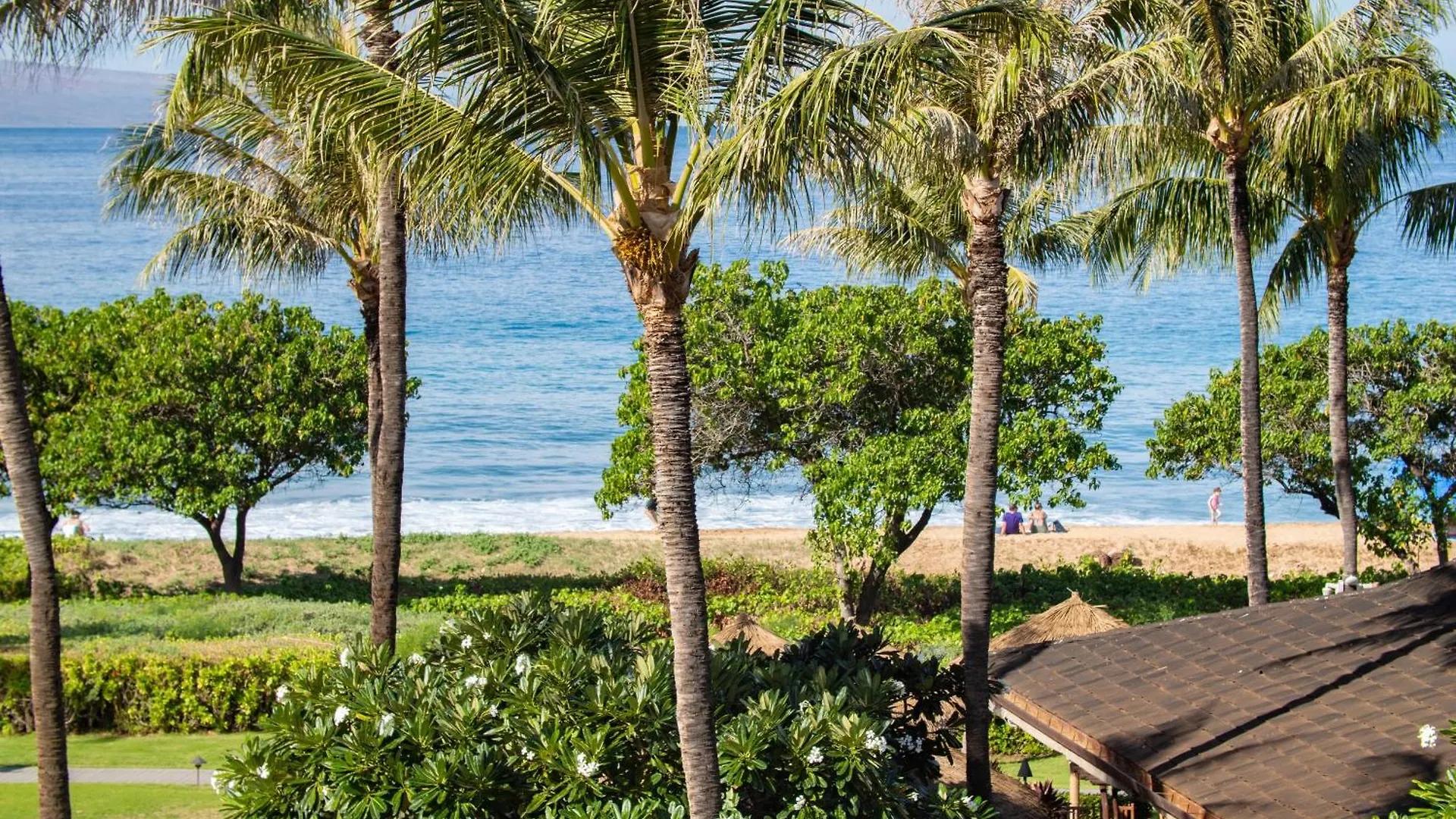 Oceanfront Views Above Dukes - Wrap Around Lanai - Outdoor Kitchen Honua Kai H351 Villa Lahaina 0*,  United States